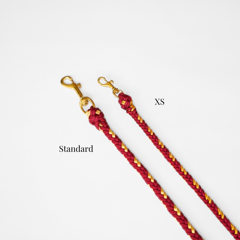 Valentina Scarlet Red Leash