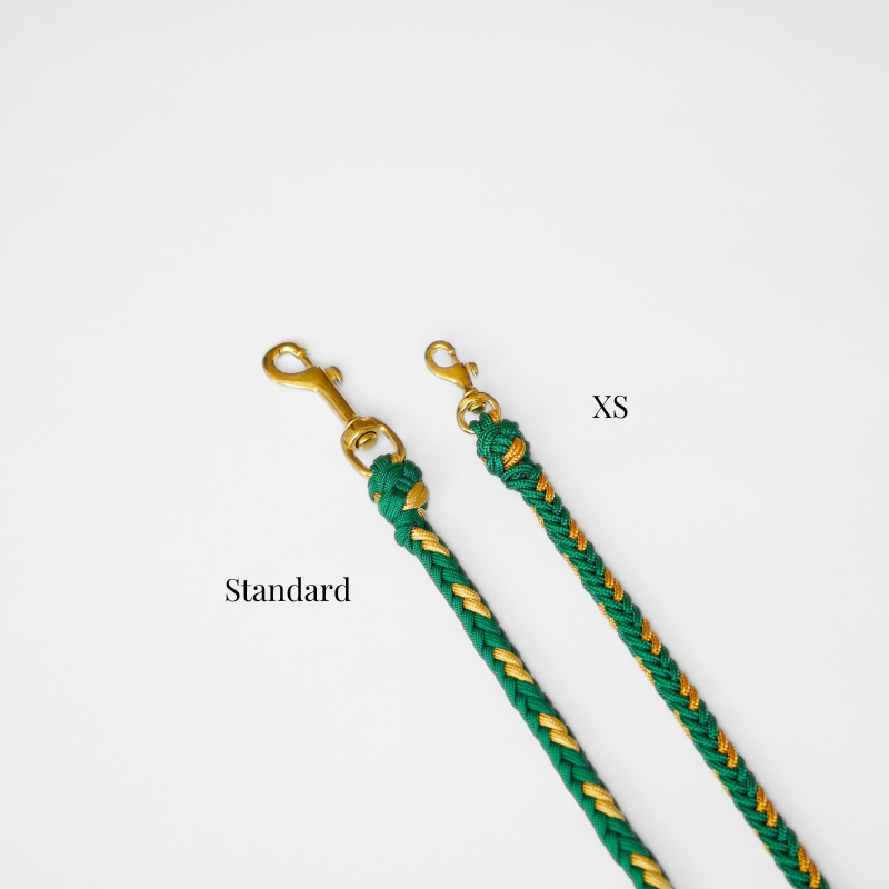 Valentina Topaz Green Leash