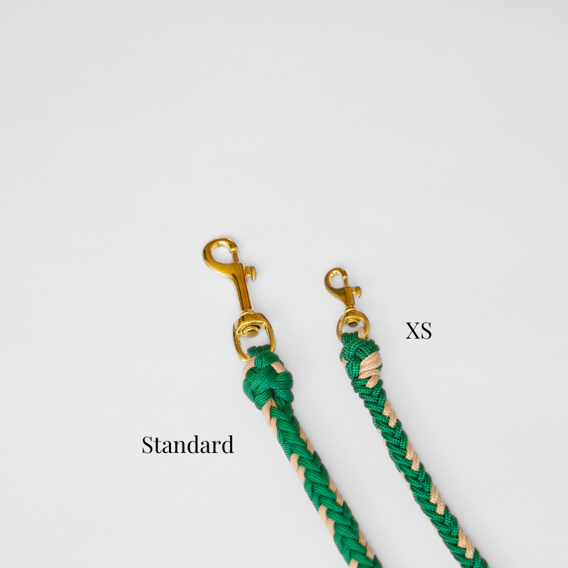 Catalina Emerald Green Leash