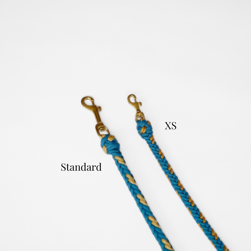 Valentina Greece Blue Leash