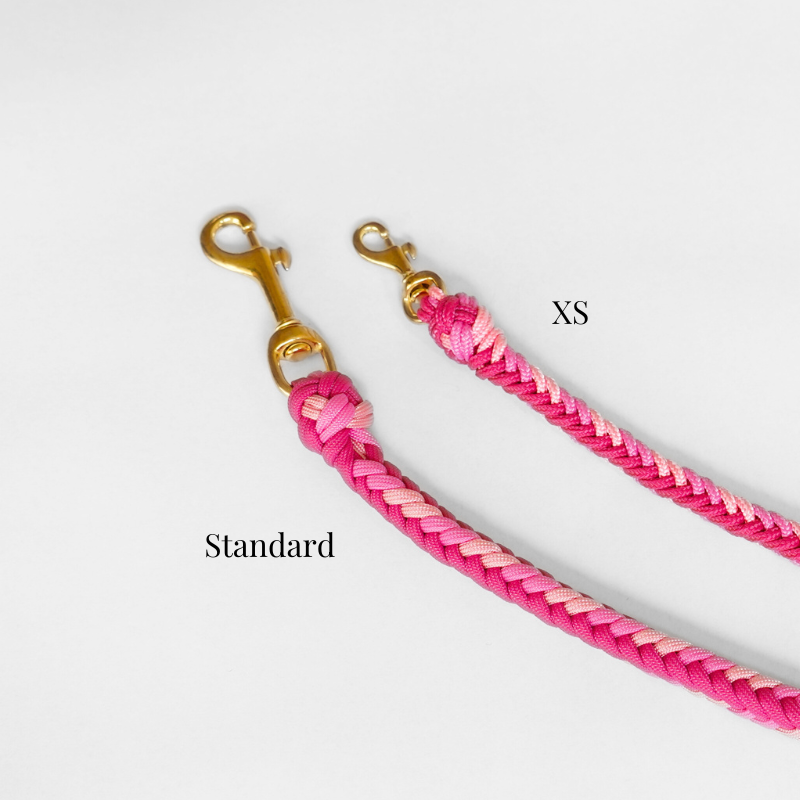 Esmeralda Rose Leash