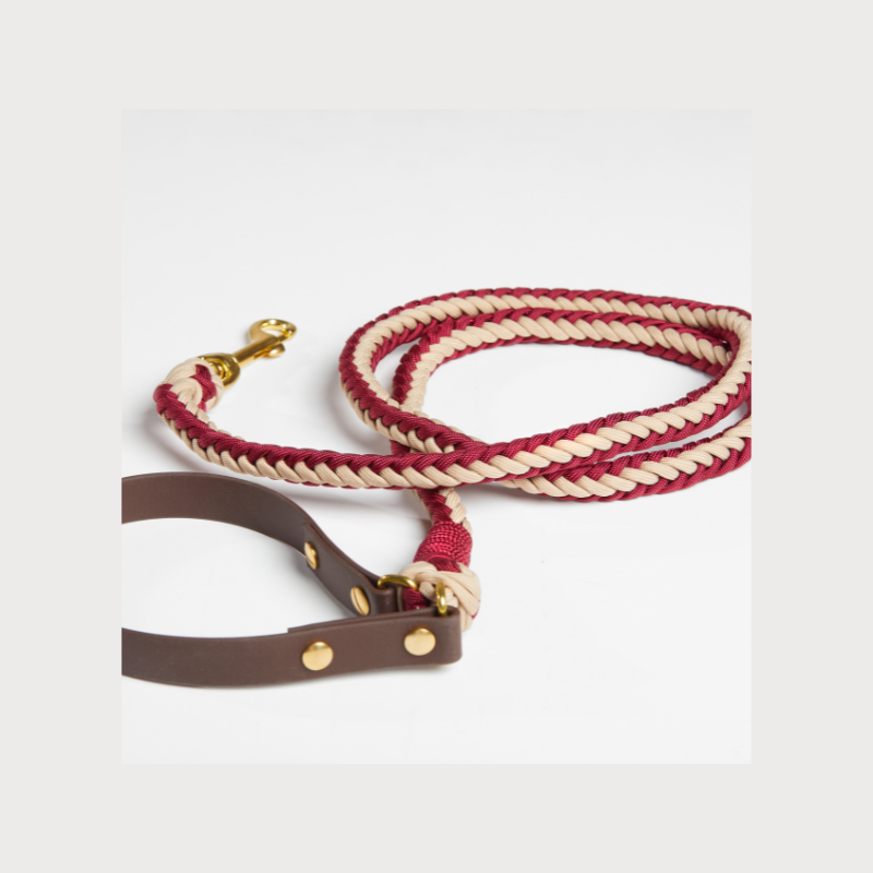 XS Red Leash
