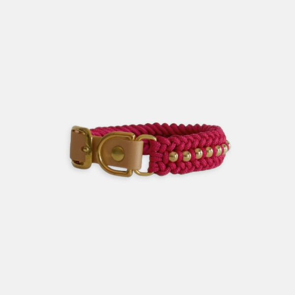 Valentina Rosé Pink Collar
