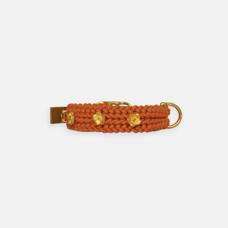 Flor Mustard Collar